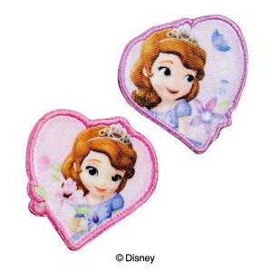 ݌ɌIyDISNEYzfBYj[ vZX LN^[ȃvZX\tBAV[EACp^Cvby