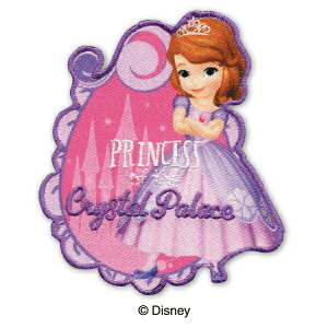 yDISNEYzfBYj[ vZX LN^[ ȃvZX \tBAACڒby
