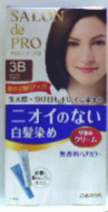 ThvwAJ[߃N[(p) 3B x[WuE