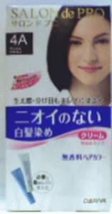 ThvwAJ[߃N[(p) 4A AbVuE