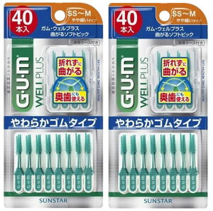 z K EFvX Ȃ\tgsbN SS`M ׂ^Cv 40{ × 2Zbg