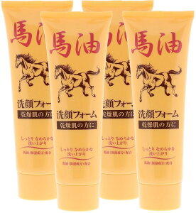 �z�������� �W�����R�X���e�B�b�N �n�����t�H�[��120g ×4�Z�b�g