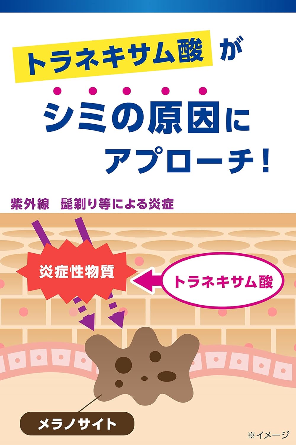 配送料無料メンズケシミンクリーム（20g）
