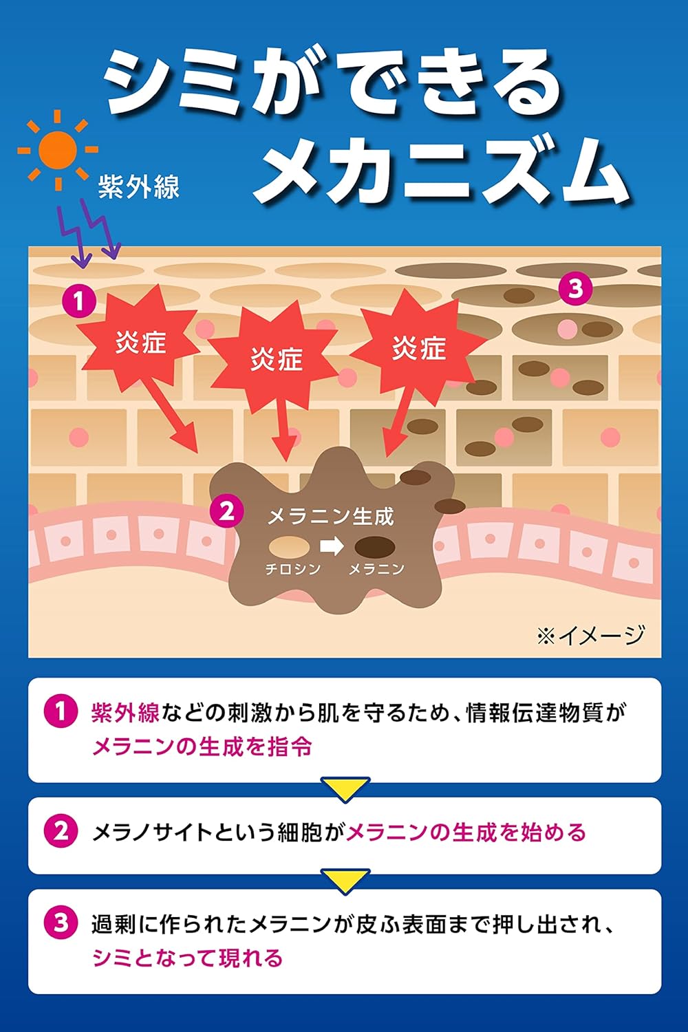 配送料無料メンズケシミンクリーム（20g）