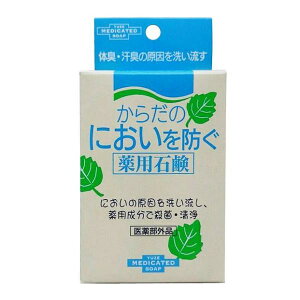 yVŃj[Az[炾̂ɂhpΌ 110g