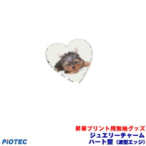 WG[`[@n[g^(g^GbW) ؓ]ʃv^[ SC-F150 SC-F15HH  ؃vg ؓ]ʃvg ؃v^[ Gv\ ؓ]