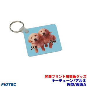 L[`F[/A~@p^/ʁ@A ؓ]ʃv^[ SC-F150 SC-F15HH  ؃vg ؓ]ʃvg ؃v^[ Gv\ ؓ]