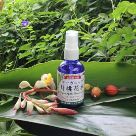 オーガニック 月桃花水 65ml 有機 ゲットウ ハイドロゾル 石垣島産 月桃水 アロマスプレー アロマウォーター 沖縄 月桃蒸留水 芳香蒸留水 月桃エキス 月桃化粧水 オーガニックハーブウォーター アロマミスト ローション 女性 プレゼント 髪ケア スキンケア 無添加 有機JAS