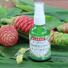 オーガニックワイルドジンジャー＆ティーツリーハイドロゾル 65ml 精油 アロマオイル フローラルウォーター 芳香蒸留水 ティツリー ティートゥリー エイジングケア 頭皮ケア 髪の毛 ヘアーケア フェイスケア ローション 敏感肌 贈り物 プレゼント ギフト 思春期 美容液