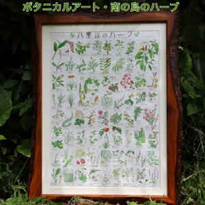 dR̃n[u A1|X^[ {^jJA[g G A1TCY {^jJ A[g |X^[ A n[u n[u̎ A a1TCY n[u̖O ʃ~l[g t[Ȃ 