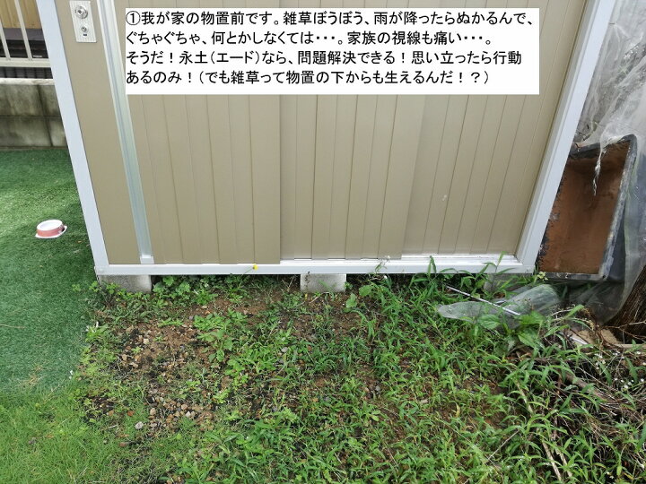 楽天市場】【 送料無料 】【 固まる土 永土 (エード) 20Kg×4袋 