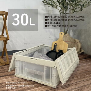 {Y ܂肽݃Rei t^t 30L O[W / NA ( F30GRC ) J[hz_[t Rei{bNX Wt 