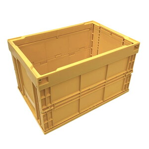 {Y ܂肽݃Rei 50L CG[ ( 50Y ) J[hz_[t 