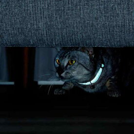 ペティオ (Petio) 猫用首輪 フラッシュソフトキャットカラー ブルー
