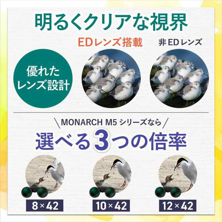 楽天市場】Nikon 双眼鏡 MONARCH M5 12x42 ダハプリズム式 12倍42口径 