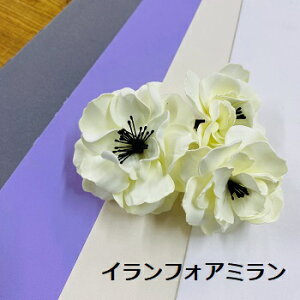 y݌ɌzCtHA~ IranFoamiran 1mmTCYi25cm×60cmj1mmtH[V[g