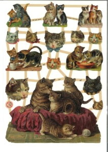 hCc NXKatzenL ˂ lR Ƒ fRp[W R[W XNbvsN`[ _CJbg G{X AeB[N