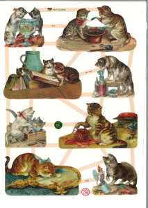 hCc NXqL (Katzen)fRp[W R[W XNbvsN`[ _CJbg G{X AeB[N