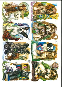 hCc NX (Hunde 60er Jahre)fRp[W R[W XNbvsN`[ _CJbg G{X AeB[N