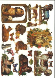 hCc NXHunde mit Pferdekopf  Ck n   fRp[W R[W XNbvsN`[ _CJbg G{X AeB[N