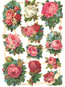 hCc NX[Yu[P o ԑ(glossy pictures - Rosen)fRp[W R[W XNbvsN`[ _CJbg G{X ԕ o [Y