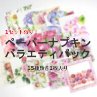 ☆各セット1点限りの限定品！☆ペーパーナプキン バラエティパック（1セット15種各1枚）