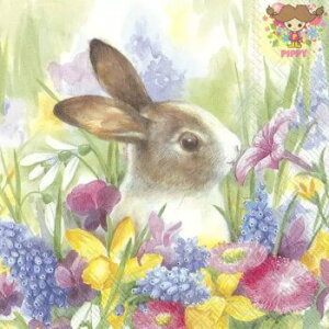 IHR y[p[ivLRUBY IN THE MEADOWi20j ETM   F  ԕ fRp[W  fG  ؂₩ GKg nhCh