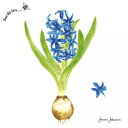 Duni Consumer 素敵な ペーパーナプキン デコパージュ ☆ヒアシンス ブルー 球根 植物 花柄☆（Hyacinth）（1枚/バラ…