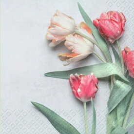 Stewo お洒落な ペーパーナプキン デコパージュ☆写真風 シンプルなチューリップ☆(Tulipe)（1枚/バラ売り）