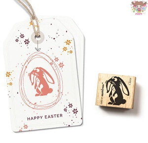 cats on appletrees X^v낷rbg (Rabbit Clara)ؐ v[g Ntg G ۈ牀 ct 搶y[֔z