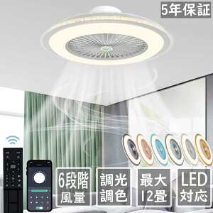 yV5Nۏ؁ؓTtz V[Ot@Cg LED DC[^[ T[L[^[ V[OCg g[ 6iKʒ V[Ot@ 6 8 12  