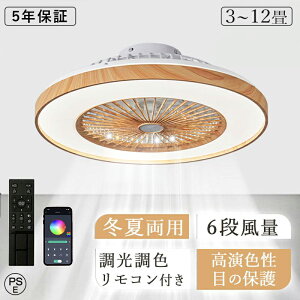 y5Nۏ؁zV[Ot@Cg T[L[^[ V[OCg DC[^[ V[Ot@ 12  y ^ t@t LED @ ^ F k R X}z E