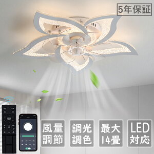 y5Nۏ؁z V[Ot@Cg DC[^[ LED  k dC V[Ot@ IV Ɩ 6 8 10 12 F APPΉ t@tƖ 6iKʒ É y V[