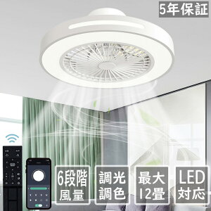 �y5�N�ۏ؁z�V�[�����O�t�@�����C�g ��N�ۏ� ���^ �������F ������� �k�� �����R���t�� ���r���O LED �������F �Ɩ� led dc���[�^�[ �t�@�� ���C�g ������� �V�[�����O���C�g ��@�t�� 8��