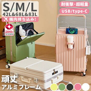 _ eʉǍσ1Nۏ؁ ^ OJ X[cP[X @ L[P[X tgI[v t@Xi[^Cv sTCY mTCY lTCY O|Pbg USB|[g TSAbN J