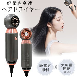 hC[ wAhC[  啗ʃBXvC }CiXCI  lC y É 800W 2iK߉\ x P 啗 Ɩp y  RpNg ÓdC ᑛ Xs[f