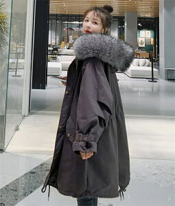 bYR[g fB[X {A R[g tFCNt@[WPbg  h  O AE^[ JWA t[ht  g H~  ̌^Jo[