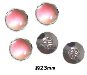 X݌ɏoo  {^ i t ) sNn^Vo[i 23~ ) ڂ  IV ΂{^ Y