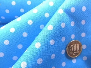  nM 40cm  vg n ͂ JbgNX IbNX  i u[ ) i ݂  hbg 킢  j̎q ̎q q  w )