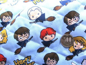  Q-nM 40cm  Q- Lg - LN^[ LeBO n ͂ JbgNX 40cm n[|b^[ i u[ ) ԍ6