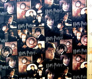 LN^[ AJ A n n[|b^[ i  |X^[ ) ԍ4USARbg A