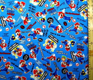 �L�����N�^�[ ���n �X�[�p�[�}���I �i �u���[ ) ���ԍ�20( �}���I���n �}���I ���n �܂肨 )