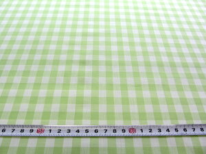 <1mカットクロス> ギンガムチェック 生地 ブロード広幅 ライトグリーン ( 大格子9ミリピッチ幅 ) はぎれ1m ハギレ 格子柄