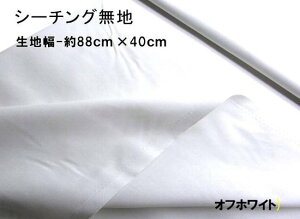  nM 40cm  n J[  V[`O n ( 100 ) ItzCgi88cm×40cmji ͂ nM Rbg V[`On s j