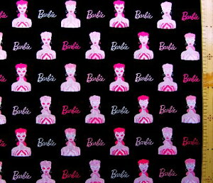 LN^[ AJ A n o[r[i tFCX  ) ԍ2V[`O i 100 ) n|108cm USARbg A ( o[r[ Barbie )