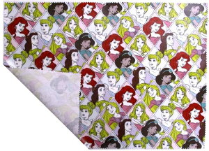 ~l[g n `}bg TCY i 45cm×32cm ) fBYj[vZX i _CJbg  ) ԍ89 i 2023 - 2024 ) ( fBYj[ vcF I[ AG x Vf 