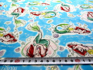 1m JbgNX  LN^[ n ͂ JbgNX fBYj[ vZX i AG g}[Ch u[n ) ԍ88 NtgV[Y IbNX i 100 ) n|10