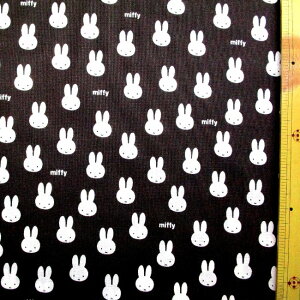 LN^[ n z ~btB[ i ZFn ) ԍ43 i 2025 ) V[`O i 100 ) n|106cmi ~btB[n ~btB[ n _[N uE ~tB[ ~BtB[  f