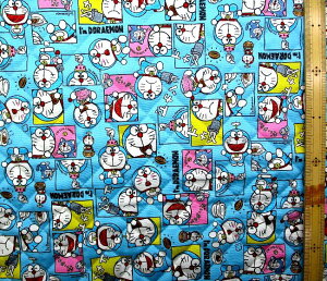 Q- LeBO n z h i u[n ) ԍ53 n-106cm \n-IbNXi 100 )( LeBOn Lg h񐶒n h n hG ǂ炦 j̎q