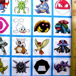 LN^[ AJ A n |PbgX^[ i |Pj i Itn / u[n ) ԍ137 i 2025 ) V[`O i 100 ) n|108cm USARbg A i |Pn |